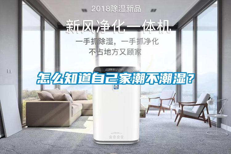怎么知道自己家潮不潮湿？