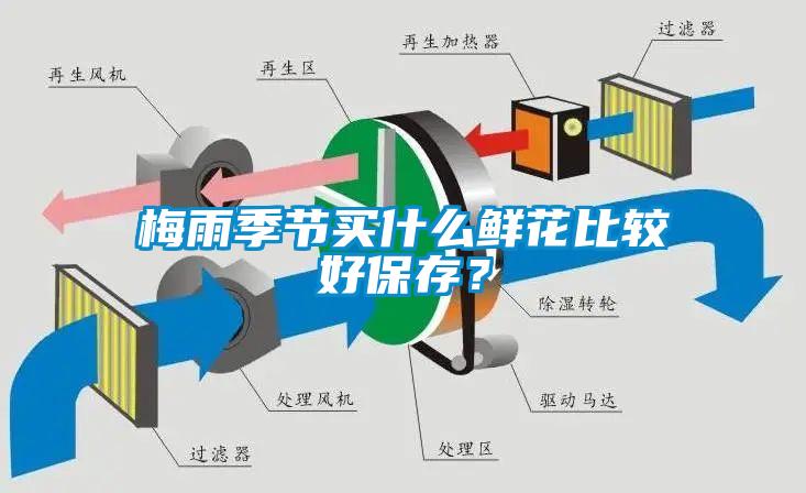 梅雨季节买什么鲜花比较好保存？
