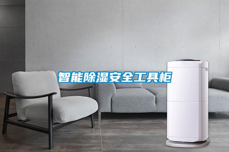 智能香蕉视频国产APP下载安全工具柜