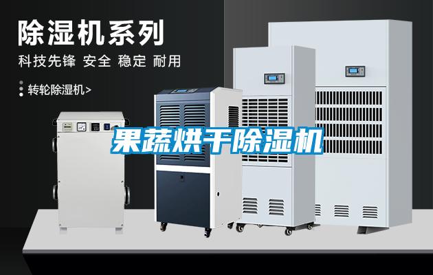 果蔬烘干香蕉视频国产APP下载机