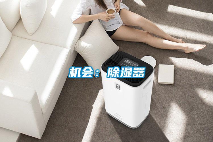 机会：香蕉视频国产APP下载器