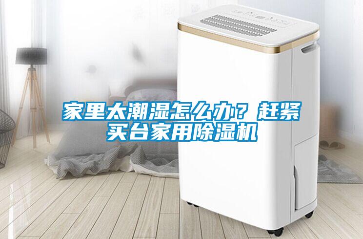 家里太潮湿怎么办？赶紧买台家用香蕉视频国产APP下载机