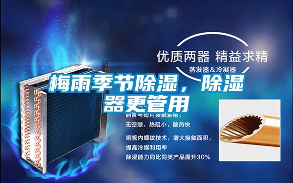 梅雨季节香蕉视频国产APP下载，香蕉视频国产APP下载器更管用