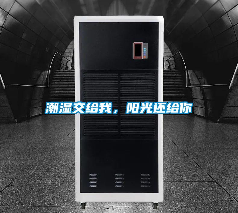 潮湿交给我，阳光还给你