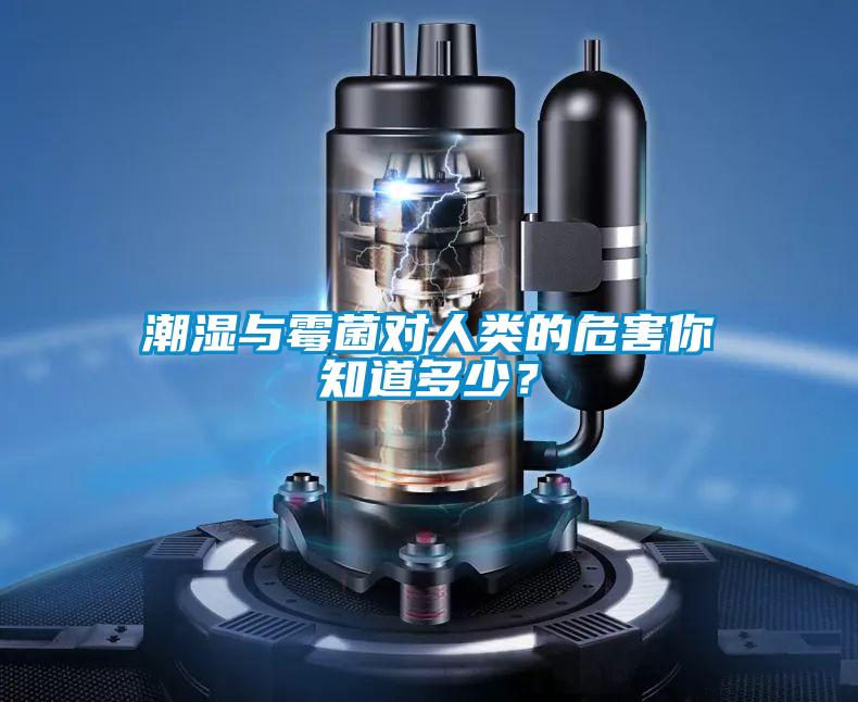 潮湿与霉菌对人类的危害你知道多少？