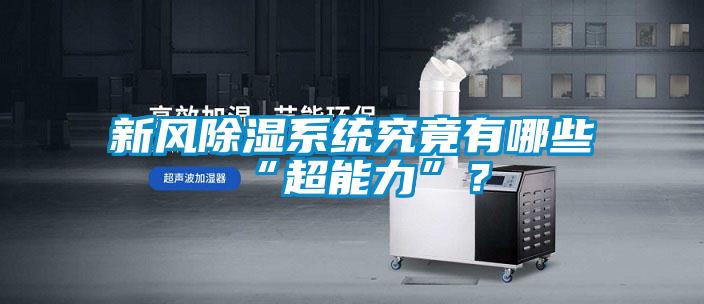 新风香蕉视频国产APP下载系统究竟有哪些“超能力”？