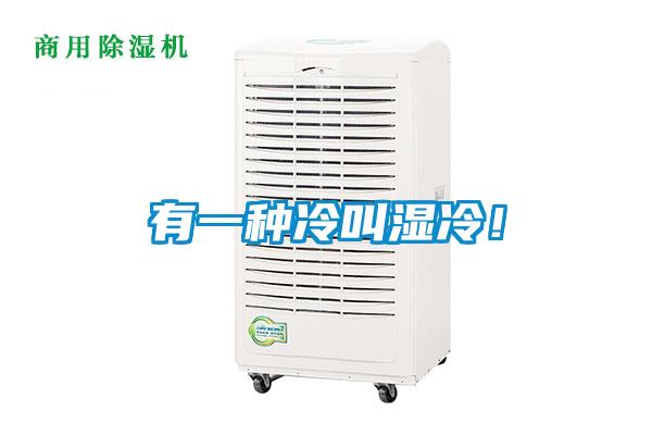 有一种冷叫湿冷！