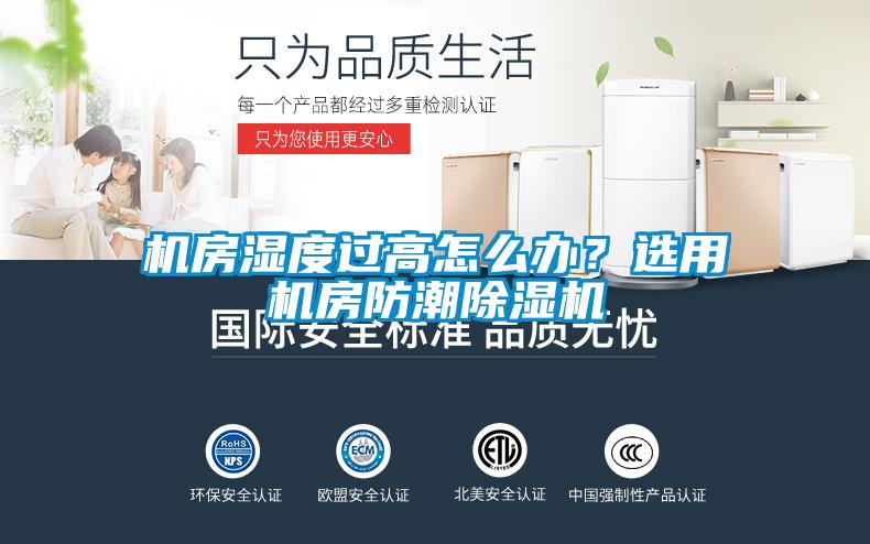 机房湿度过高怎么办？选用机房防潮香蕉视频国产APP下载机