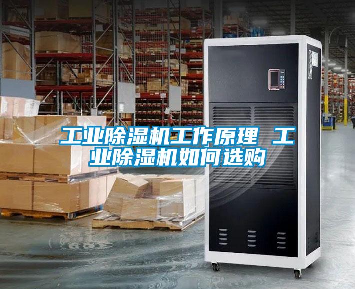 工业香蕉视频国产APP下载机工作原理 工业香蕉视频国产APP下载机如何选购