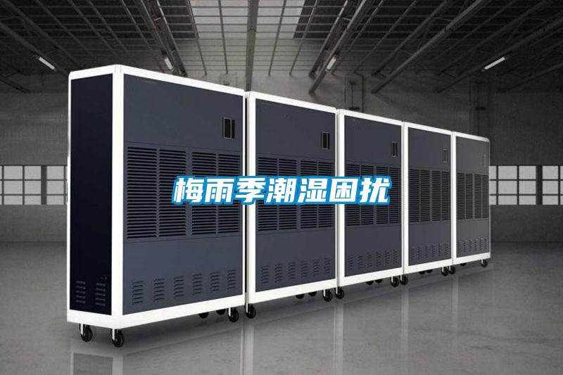 梅雨季潮湿困扰