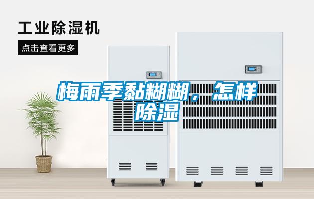 梅雨季黏糊糊，怎样香蕉视频国产APP下载