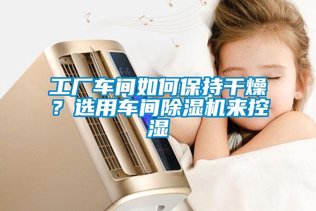 工厂车间如何保持干燥？选用车间香蕉视频国产APP下载机来控湿