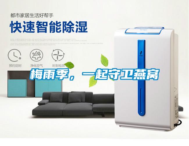 梅雨季，一起守卫燕窝
