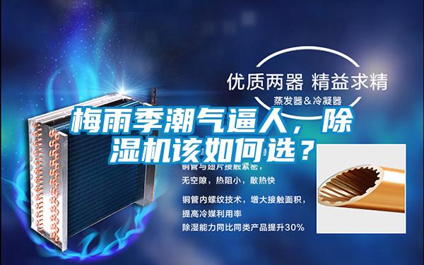 梅雨季潮气逼人，香蕉视频国产APP下载机该如何选？
