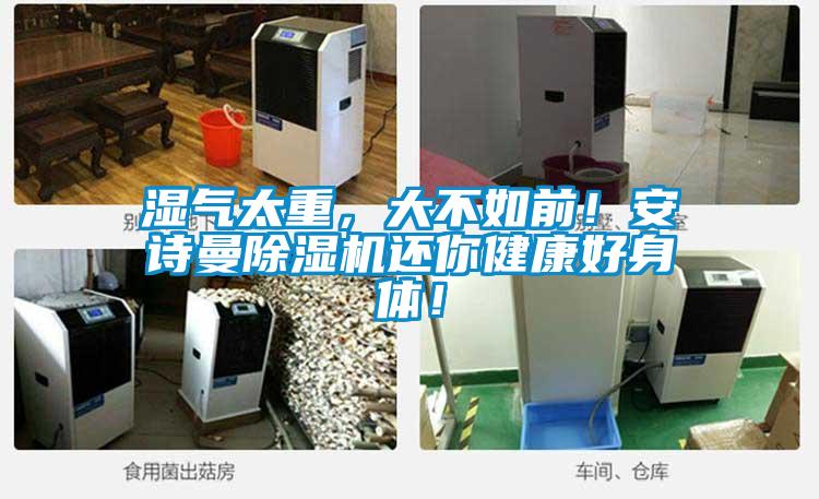 湿气太重，大不如前！香蕉视频在线看香蕉视频国产APP下载机还你健康好身体！