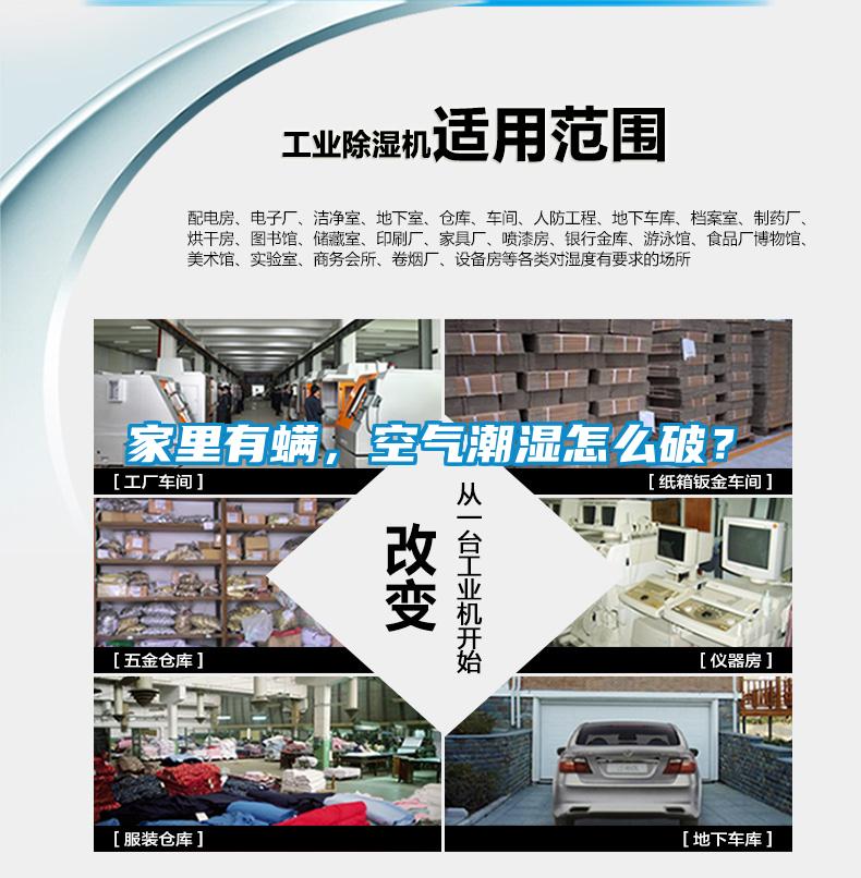 家里有螨，空气潮湿怎么破？