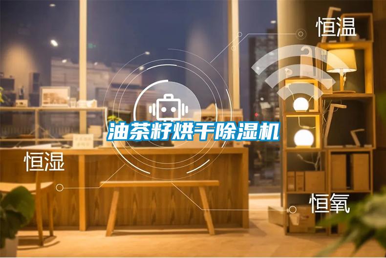 油茶籽烘干香蕉视频国产APP下载机