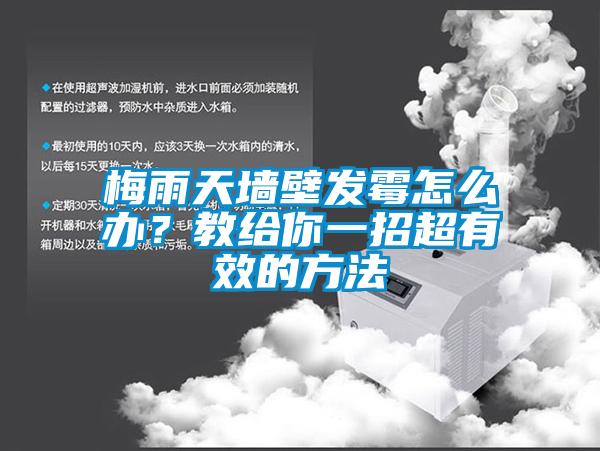 梅雨天墙壁发霉怎么办？教给你一招超有效的方法