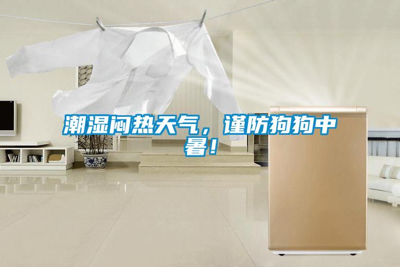 潮湿闷热天气，谨防狗狗中暑！