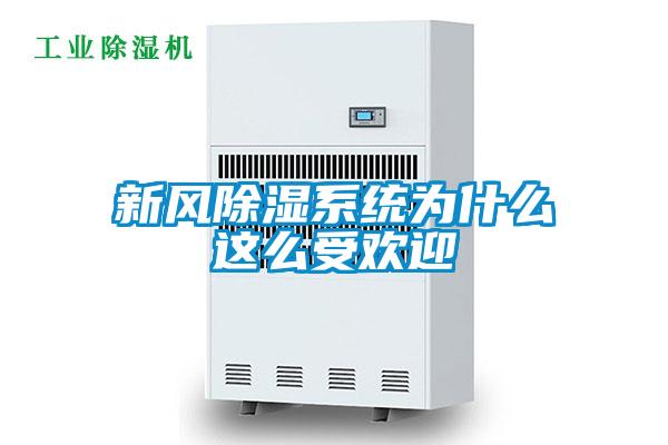 新风香蕉视频国产APP下载系统为什么这么受欢迎