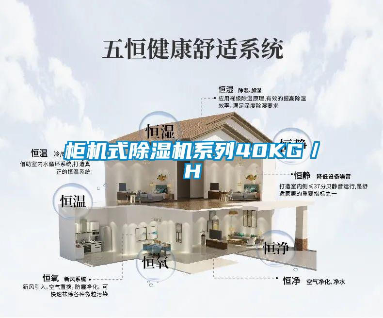 柜机式香蕉视频国产APP下载机系列40KG／H