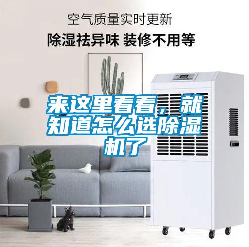 来这里看看，就知道怎么选香蕉视频国产APP下载机了