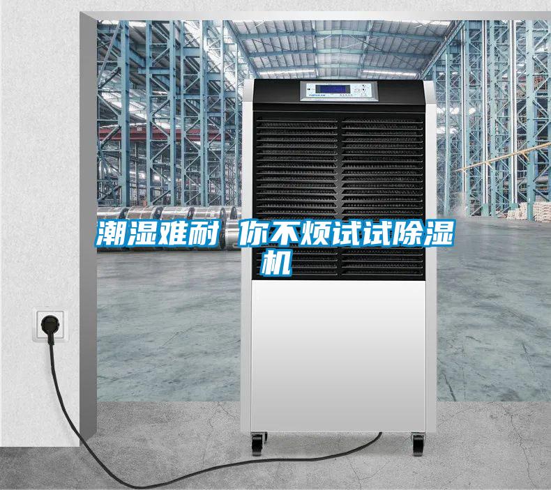 潮湿难耐 你不烦试试香蕉视频国产APP下载机