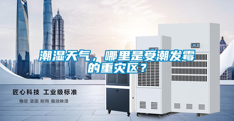 潮湿天气，哪里是受潮发霉的重灾区？