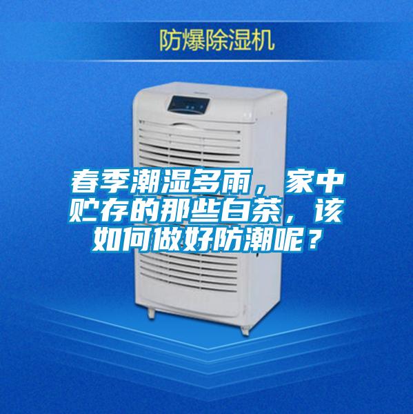 春季潮湿多雨，家中贮存的那些白茶，该如何做好防潮呢？