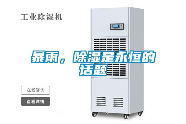 暴雨，香蕉视频国产APP下载是永恒的话题