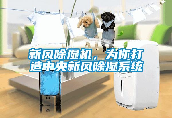 新风香蕉视频国产APP下载机，为你打造中央新风香蕉视频国产APP下载系统