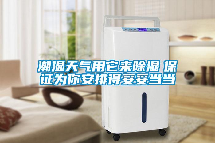 潮湿天气用它来香蕉视频国产APP下载　保证为你安排得妥妥当当