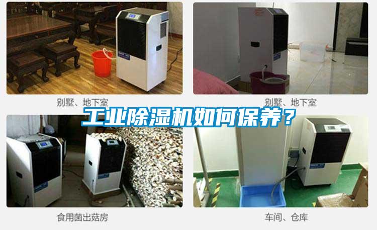 工业香蕉视频国产APP下载机如何保养？