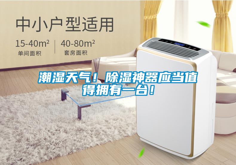 潮湿天气！香蕉视频国产APP下载神器应当值得拥有一台！
