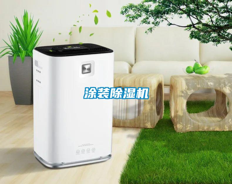 涂装香蕉视频国产APP下载机