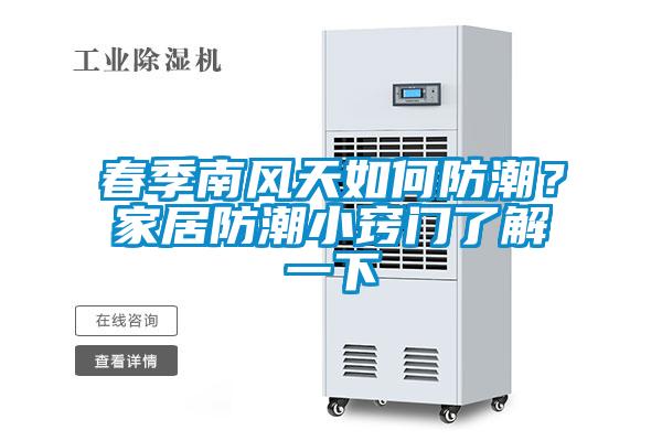 春季南风天如何防潮？家居防潮小窍门了解一下