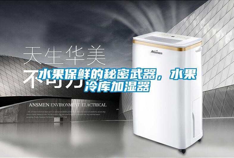 水果保鲜的秘密武器，水果冷库加湿器