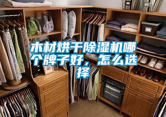 木材烘干香蕉视频国产APP下载机哪个牌子好，怎么选择
