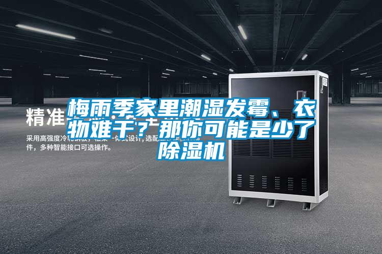 梅雨季家里潮湿发霉、衣物难干？那你可能是少了香蕉视频国产APP下载机