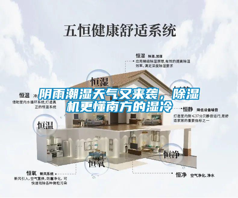 阴雨潮湿天气又来袭，香蕉视频国产APP下载机更懂南方的湿冷