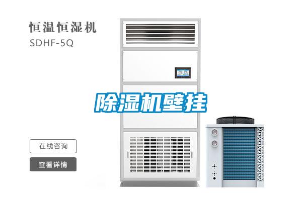 香蕉视频国产APP下载机壁挂