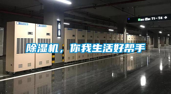 香蕉视频国产APP下载机，你我生活好帮手