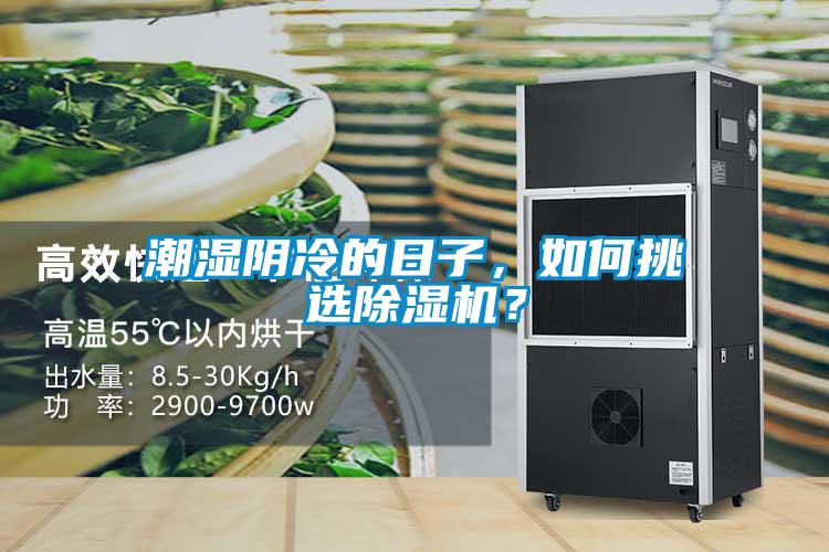潮湿阴冷的日子，如何挑选香蕉视频国产APP下载机？