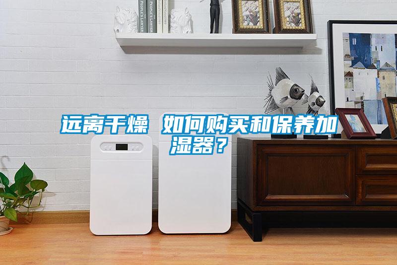 远离干燥 如何购买和保养加湿器？