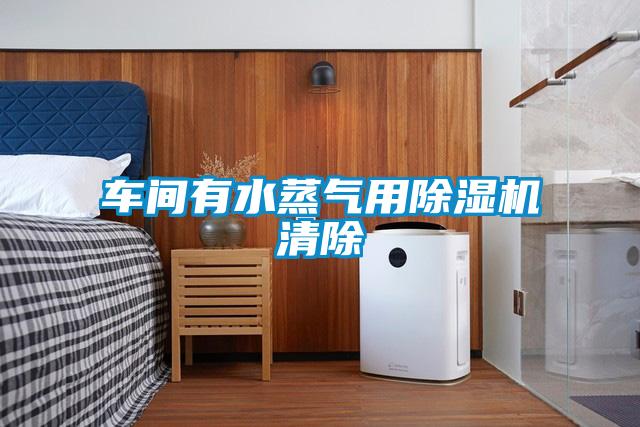 车间有水蒸气用香蕉视频国产APP下载机清除