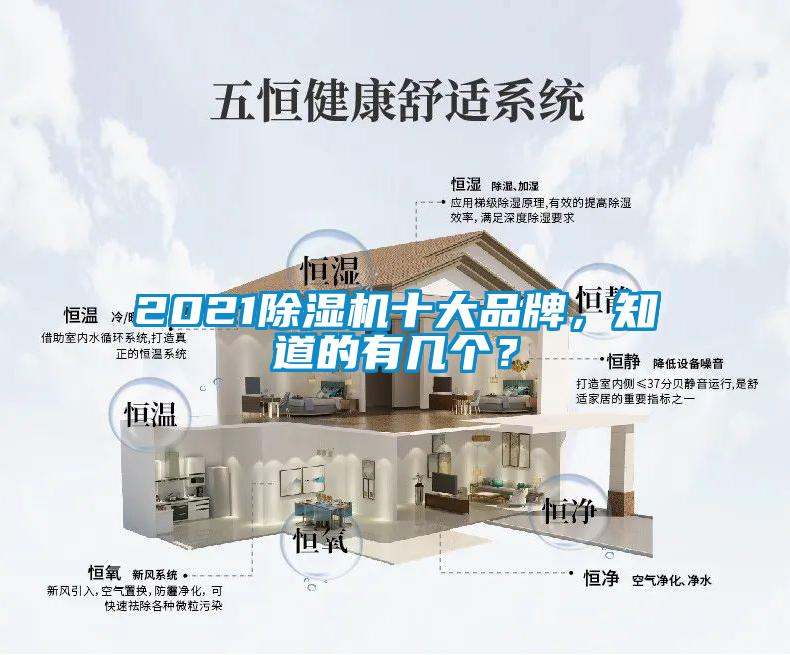 2021香蕉视频国产APP下载机十大品牌，知道的有几个？