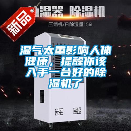 湿气太重影响人体健康，提醒你该入手一台好的香蕉视频国产APP下载机了