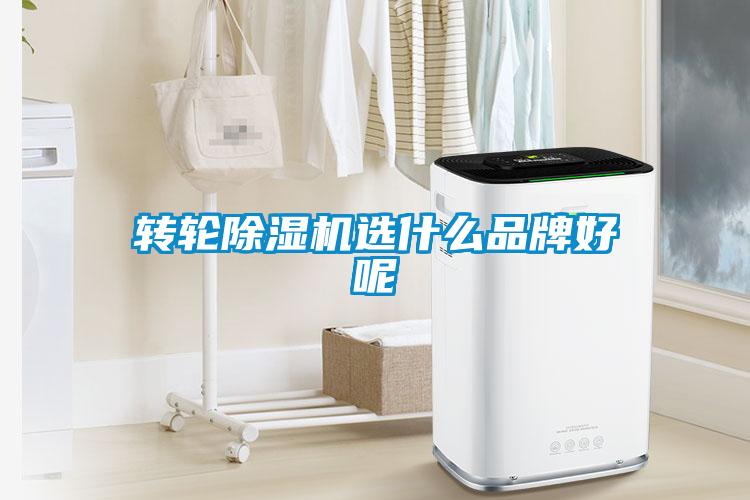 转轮香蕉视频国产APP下载机选什么品牌好呢