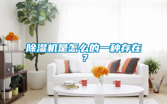香蕉视频国产APP下载机是怎么的一种存在？