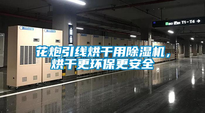 花炮引线烘干用香蕉视频国产APP下载机，烘干更环保更安全